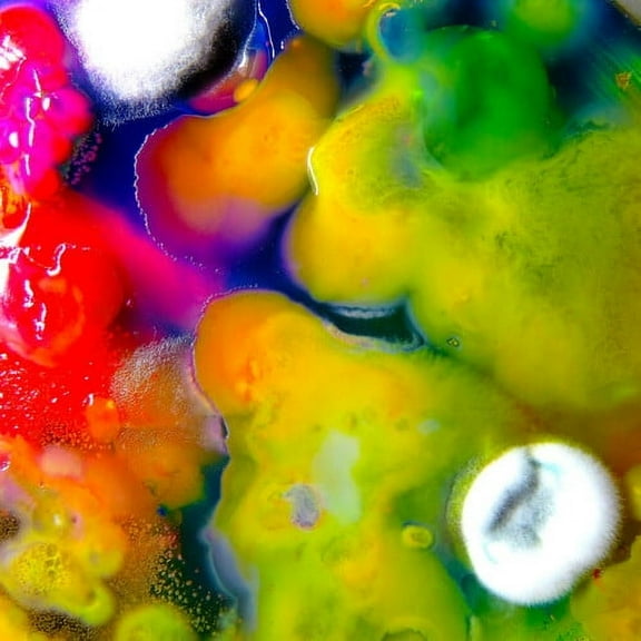 Guerilla Toss - Famously Alive - Music & Performance - CD