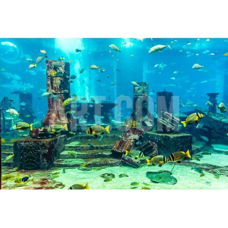 Aquarium Tropical Fish on A Coral Reef Print Wall Art By (Best Trace Elements For Reef Tank)