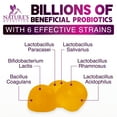 thumbnail image 4 of Probiotics for Digestive Health Gummies - 6 Unique Strains for Daily Immune Support & Gut Health, Supports Constipation, Gas & Bloating - Best Probiotic Supplement Gummy for Women & Men - 120 Gummies, 4 of 10