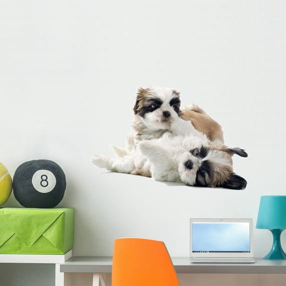Shih Tzu Puppy Wall Decal by Wallmonkeys Peel and Stick Graphic (36 in W x 24 in H) WM131772