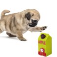 thumbnail image 1 of Dog Chew Toy Creative Juice Bottle Interactive Pet Bite Toy Pet Sound Toy, 1 of 8