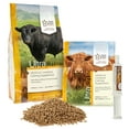 thumbnail image 4 of UltraCruz® Livestock Calming Supplement, 6 lb, 20 day supply, 4 of 5