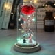thumbnail image 1 of Led Enchanted Galaxy Rose Eternal Flor de lámina de oro de 24k con luces de cadena de hadas en la cúpula para el regalo del día de San Valentín de Navidad, 1 of 4