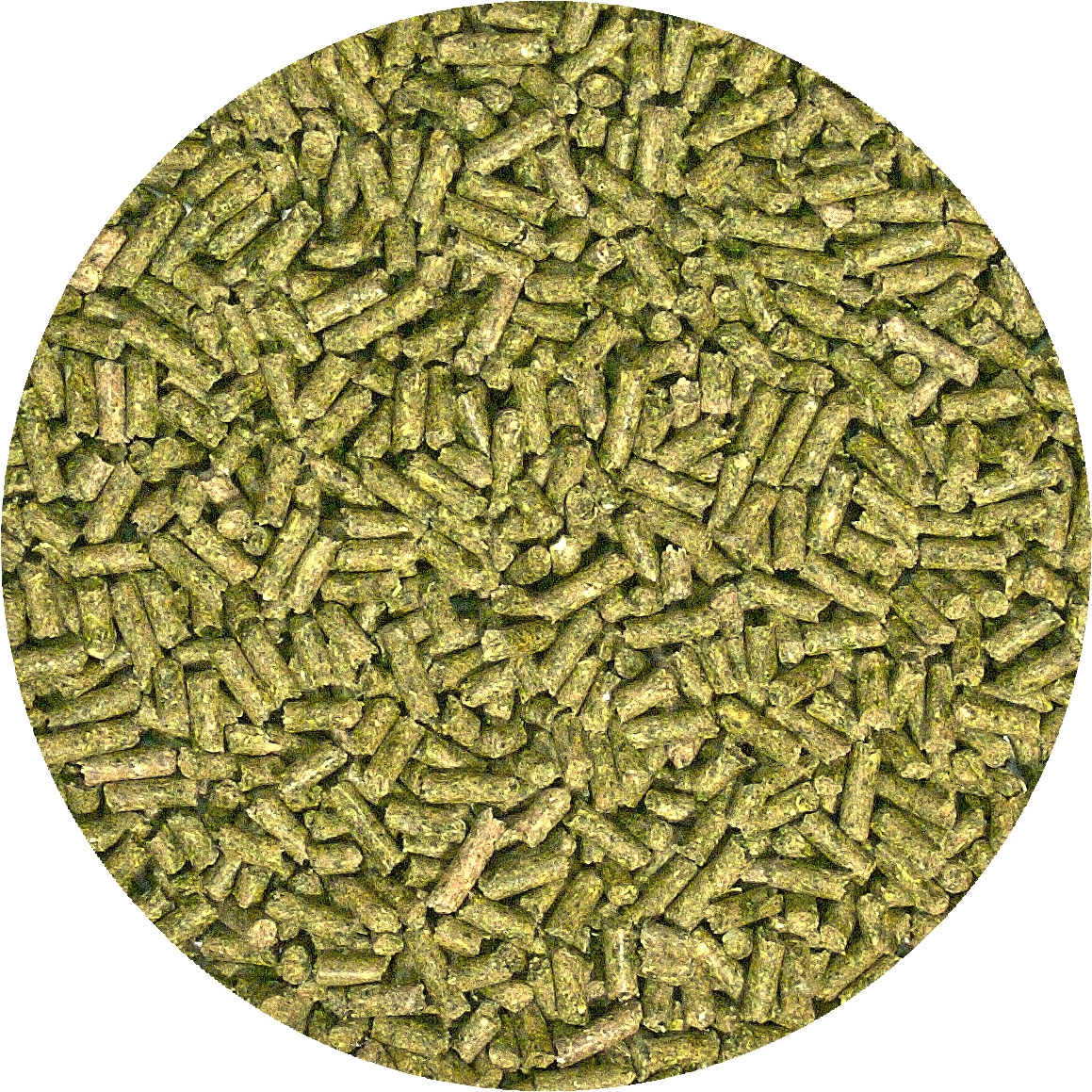 Zoo Med Natural ADULT Iguana Food (40 oz - Dry Pellets)