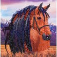 thumbnail image 1 of CA Card - Horse, 1 of 1