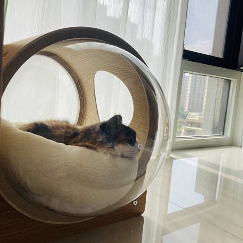 Cat top space pod