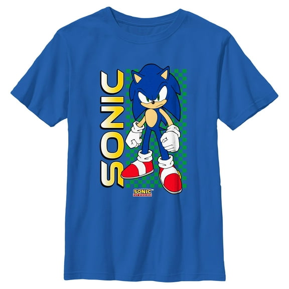 Boy's Sonic the Hedgehog Classic Pose  Graphic T-Shirt