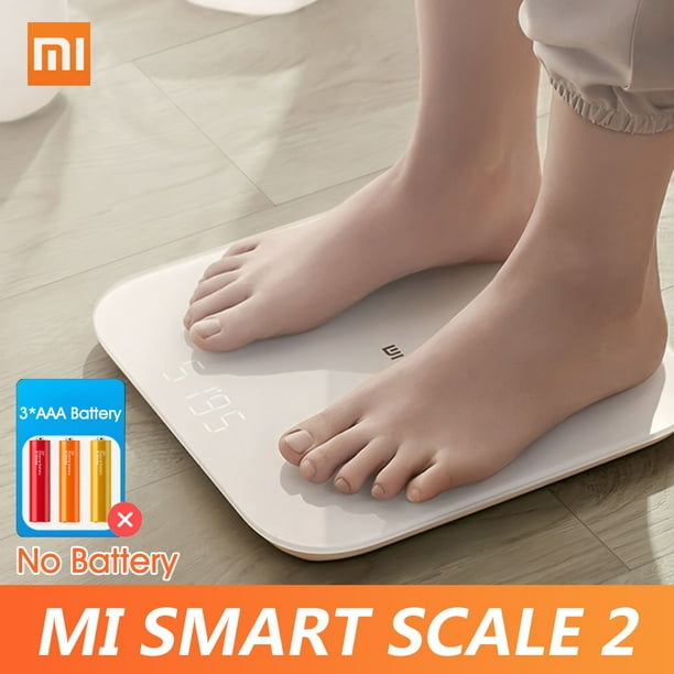 mi scale 2 zepp