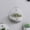 semicircle transparent, variant on JUANCHENG Plant Vase Flower Pots Levitating Nordic Home Decoration Hydroponic Pots Storage Transparent Wall-hanging White semicircle transparent