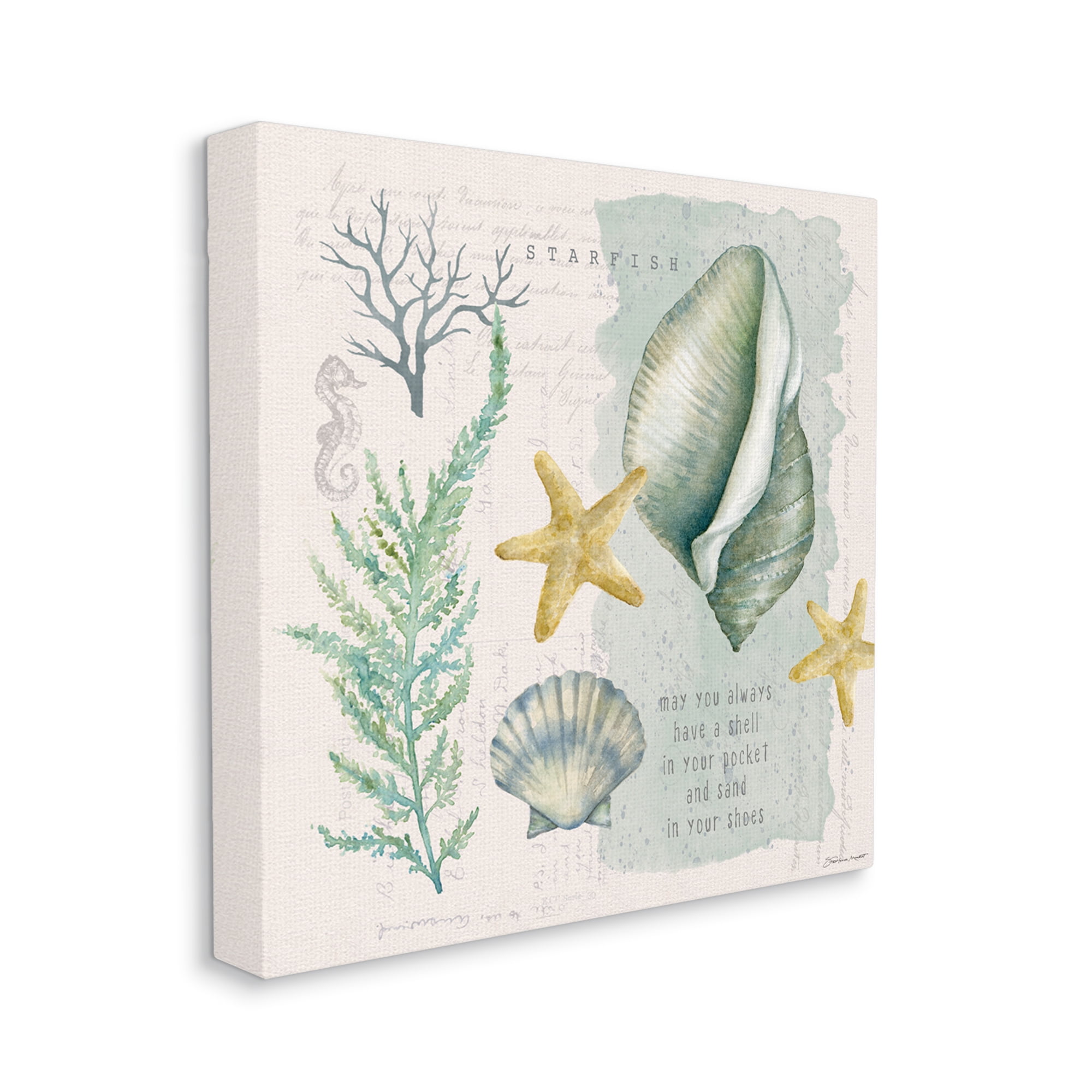 Stupell Industries Shell in Pocket Sand In Shoes Beach Quote, 36 x 36, Design by Stephanie Workman Marrott
