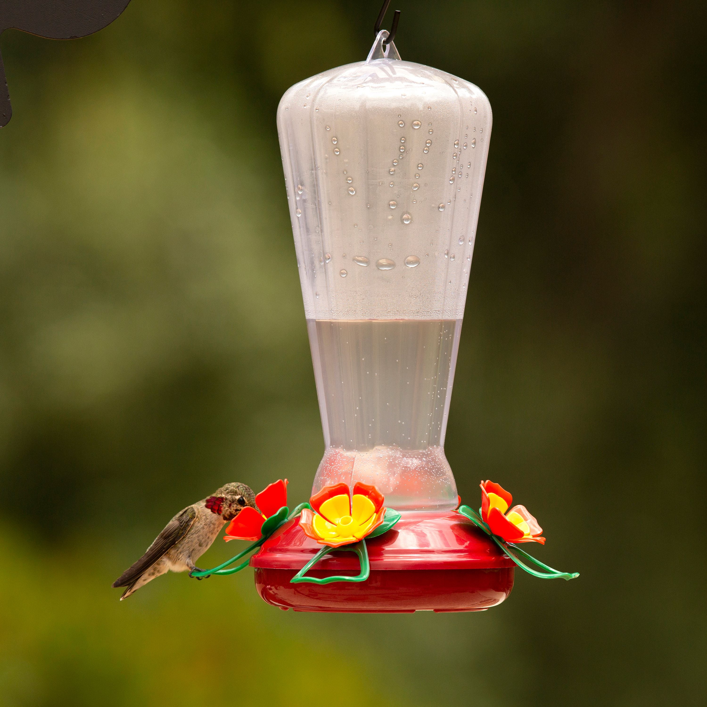 More Birds Hollyhock Hummingbird Feeder Walmart Com