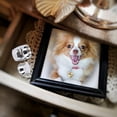 thumbnail image 2 of FONDOTIN Urnes pour Chats Cendres 1Ensemble, 2 of 4