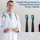 thumbnail image 2 of 10PCS Electric Toothbrush Heads for FW-507/508/551/917/959,FW-D1/FW-D3/FW-D7/FW-D8, 2 of 5