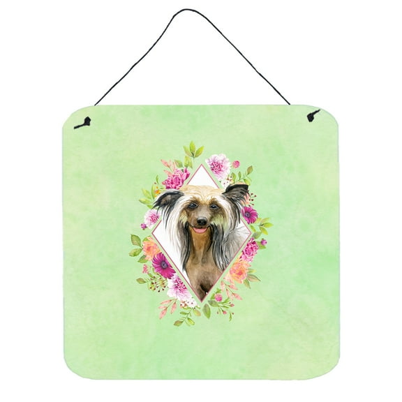 Carolines Treasures CK4290DS66 Chinese Crested Green Flowers Wall or Door Hanging Prints 6x6 multicolor
