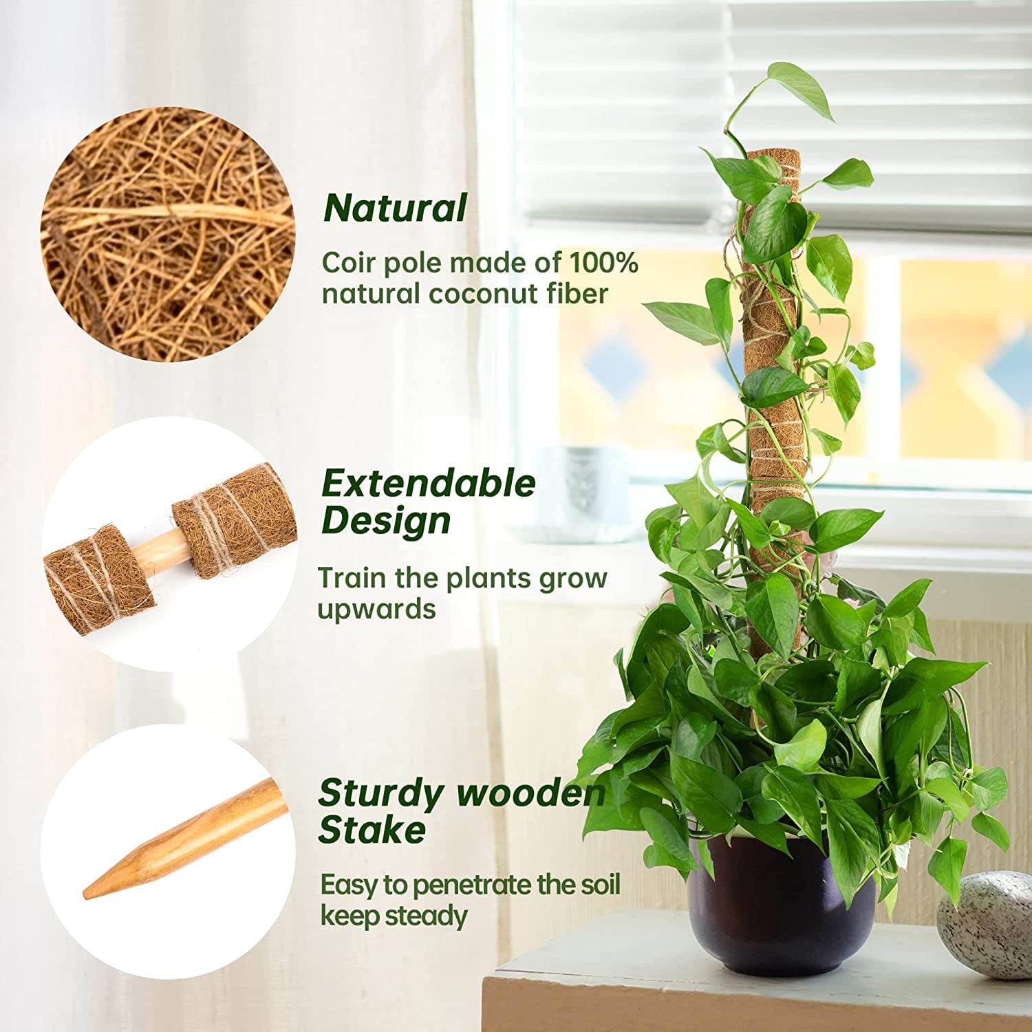 KXCOFTXI 32in Moss Pole, 2 Pack 16in Moss Coir Totem Pole for Pothos, Moss Plant Stick, Indoor Plant Stake, Small Moss Pole for Monstera and Climbing Indoor