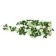 thumbnail image 3 of Guirnalda de rosas artificiales, simulación de flores, vid, decoración floral, colgante de pared, plástico, flor falsa, ratán, blanco Inevent HA8441-01B, 3 of 6