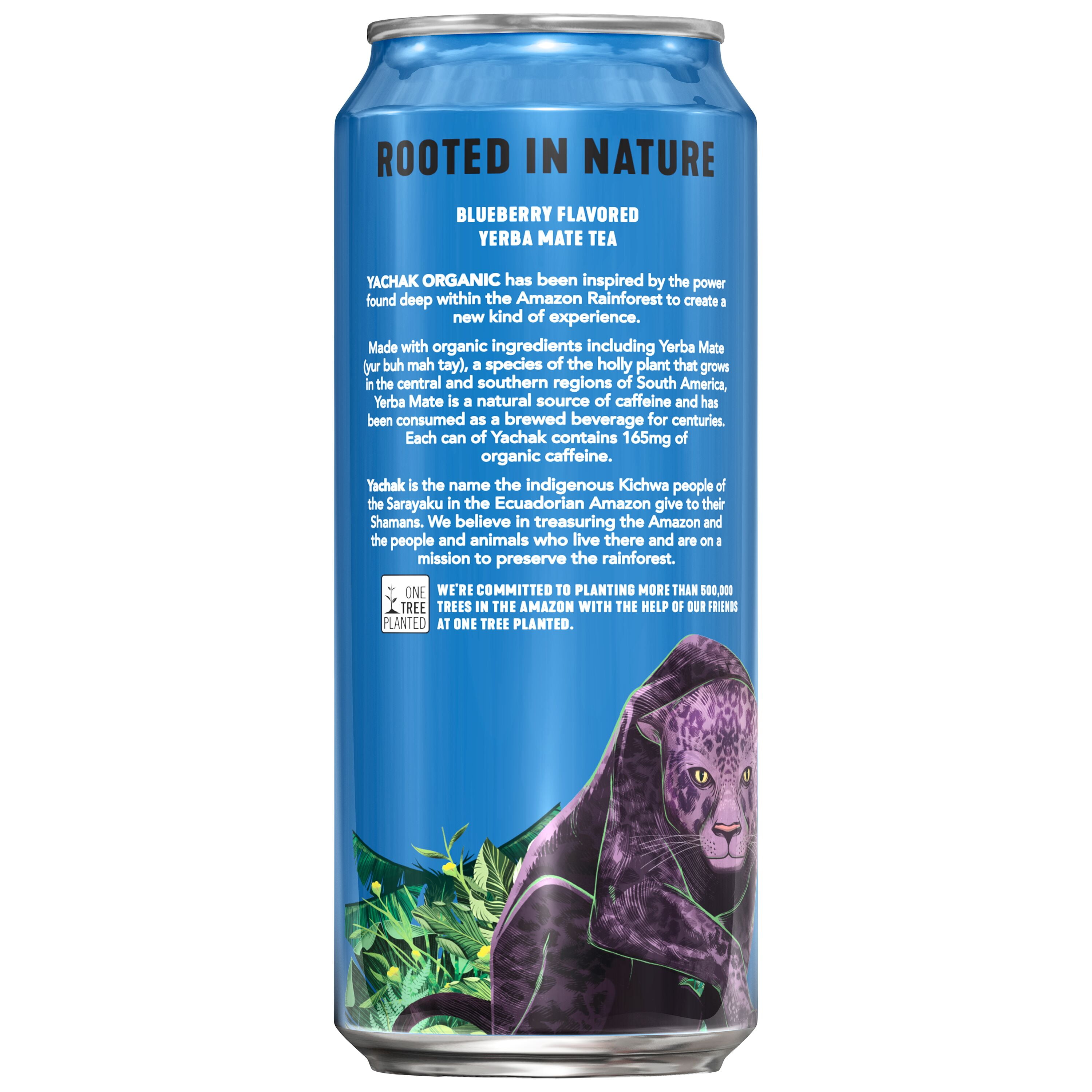 Yachak Yerba Mate Drink, Berry Blue, 16 fl oz, 12 Pack Cans