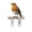 Gold, variant on Robin Bird Garden Stake – Realistic 2D Ornament – Weather Resistant Outdoor Decor for Flower Bed, Lawn, Pathway, Yard, Patio
