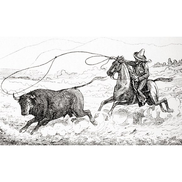 Lassoing A Bull In South America In The 19th Century. From Enciclopedia Ilustrada Segui, Published C. 1900 by Ken Welsh / Design Pics (36 x 20)