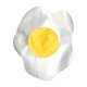 thumbnail image 3 of Disfraz de fruta Yinane para adultos Cosplay, 3 of 7