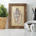 thumbnail image 6 of Seashell Ephemera I - Framed Print w/glass - Walnut, 6 of 8