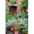 thumbnail image 2 of Eggers, Julie 23x32 White Modern Wood Framed Museum Art Print Titled - Italy-Tuscany-Pienza Potted plants in the corner of a street in the town of Pienza, 2 of 4