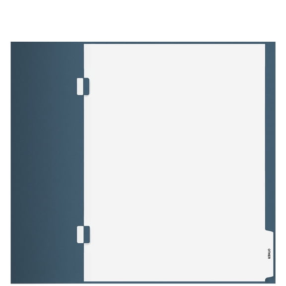 'Other' Side Staple Index Tab Divider, 100 Count