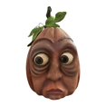 thumbnail image 2 of Calabaza expresiva, Calabaza Edgar, Fenómeno de Halloween, Seis combinaciones de calabaza rna, D, 2 of 9
