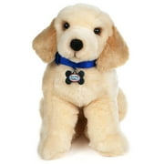 Cold Nose Puppies: Golden Retriever
