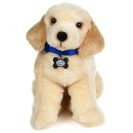 Cold Nose Puppies: Golden Retriever