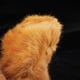 thumbnail image 4 of de simulación, de ardilla de peluche, modelo, juguete, decoraciones de, 4 of 9