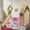 Natural+Pink, variant on URTR Twin Size Solid Wood House Floor Bed with Tent and Light, Full-Length Guardrails, Montessori Design, Easy Assembly, White and Pink
