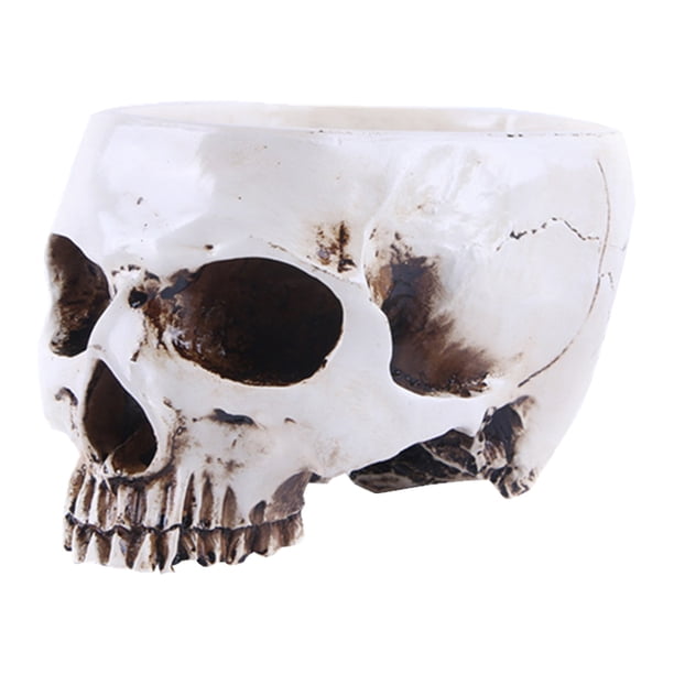 Maceta Flores para Suculentas Modelo Calavera Resina Halloween Terror