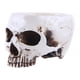 thumbnail image 1 of Maceta Flores para Suculentas Modelo Calavera Resina Halloween Terror, 1 of 9