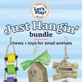 thumbnail image 6 of Prevue Pet Products Just Hangin' Small Animal Toy Bundle, 6 of 10
