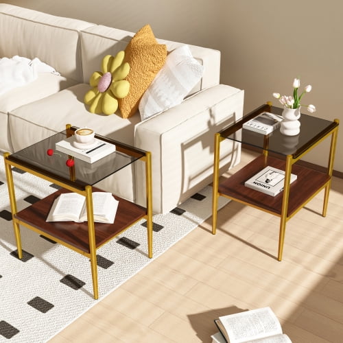 MOONMISS 2 Pack Rectangle End Table, Tempered Glass Top Side Table with MDF Frame, Modern Transparent Glass Accent Table for Living Room, Bedroom, Home Decor, Brown/Gold