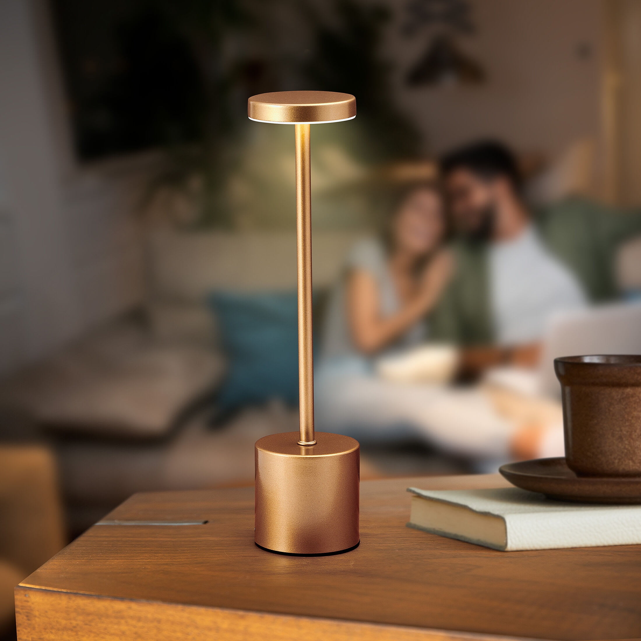Home Accents 13.5 Inch LED Cordless Metal Table Lamp, Rechargeable 3 Color Stepless Dimming, Gold