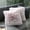 Burgundy Ombre, variant on 2 Packs Fall Winter Home Decorative White Fluffy Plush Pillow Cover 20"x20", Luxury Faux Fur Throw Pillow Case