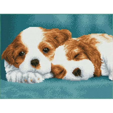 UPC: 4895225917709 | DIAMOND DOTZ® Little Champs Diamond Painting Kit
