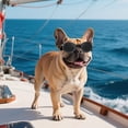 thumbnail image 2 of Gafas para Perros Namsan Claras para Razas Medianas con 2 Lentes, 2 of 8