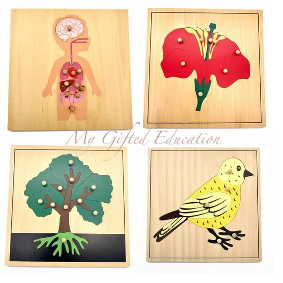 Casse-tête en Bois Montessori de Botanique, Biologie et Anatomie - Fleur, Arbre, Oiseau, Parties du Corps Humain - Jouets, Apprentissage, Cadeau - STIM Préscolaire Tout-Petits Enfants