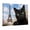A, variant on XaaKee Canvas Wall Art Prints Black Cat Selfie Modern Art Prints Inner Framed 18*12Inch