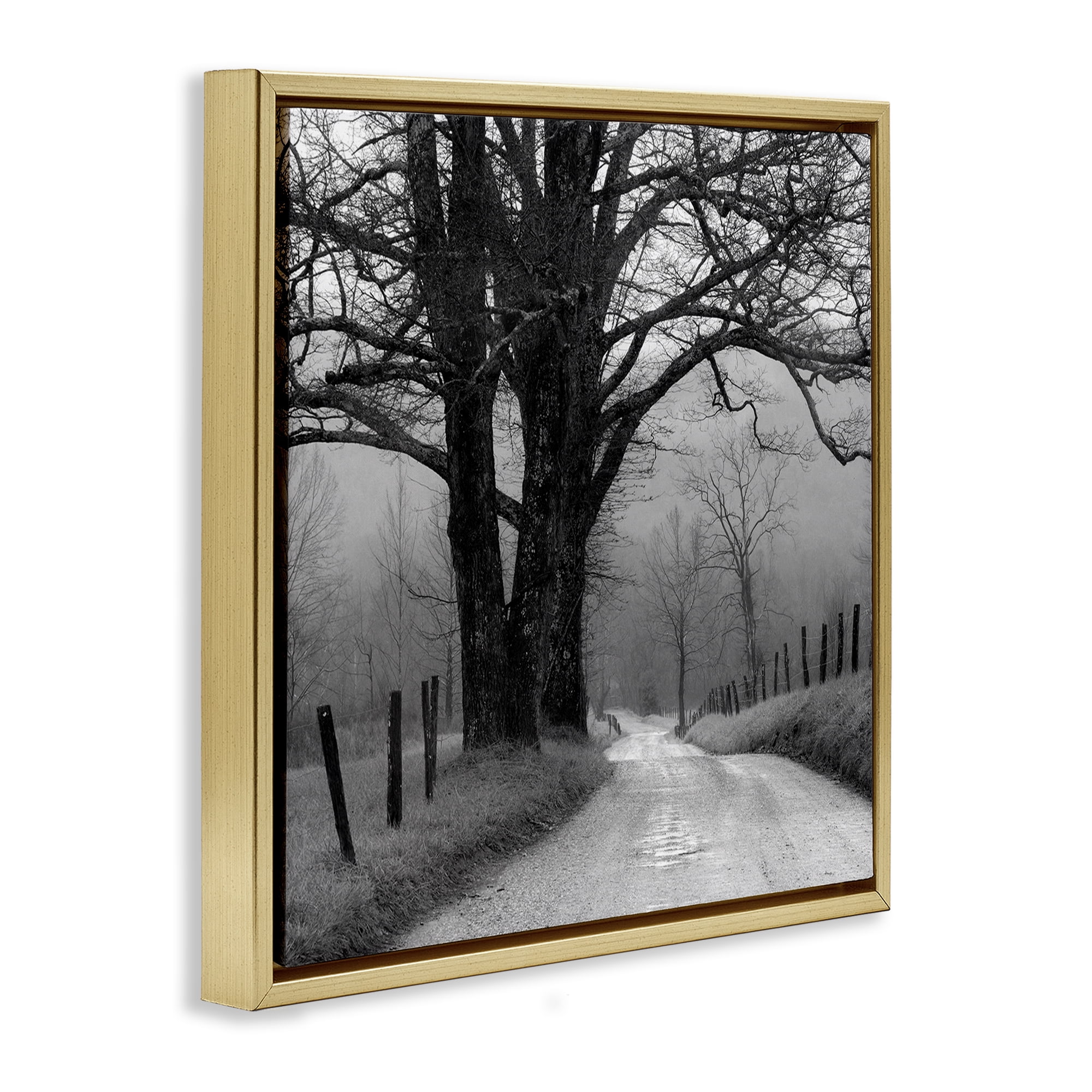 Stupell Industries Lonely Path Toward Trees Landscape & Nature Photography Gold Floater Framed Canvas Art Print Wall Art, 18 x 18