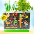 thumbnail image 2 of Root Viewer - Growing Kit for Kids - Science Toy & Craft Kit - Gift for Kids, 2 of 8