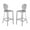 Chrome, variant on Home Square 2 Piece Stainless Steel Bar Stool Set in Gold