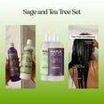 thumbnail image 5 of Sulfate Free Shampoo and Conditioner Set - Tea Tree Sage and Rosemary Shampoo and Conditioner for Dry Flaky Scalp Care - Deep Cleansing Color Safe Shampoo and Conditioner for Damaged Dry Hair Care, 5 of 9