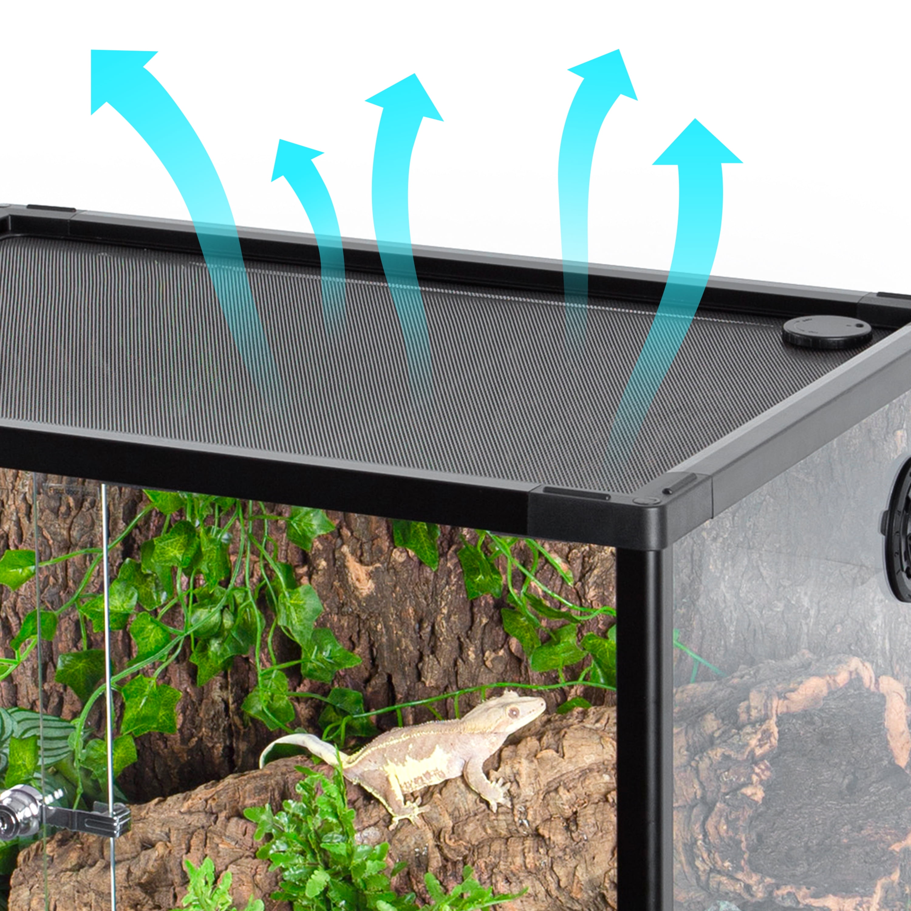 GUZZLO Reptile Glass Tank - 24 x 18 x 18 Inches Knock Down Full View Natural Terrarium