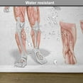 thumbnail image 6 of Ambesonne Anatomy Place Mats Set of 4, Biology Human Body Print, Standard Size, Coral and Grey, 6 of 6