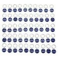 thumbnail image 1 of Miangastore 50Pcs Aluminium Alloy Storage Tags Metal Numbers Plates Luggage ID Tags Key Ring Labels(Blue, Number 1-50), 1 of 8