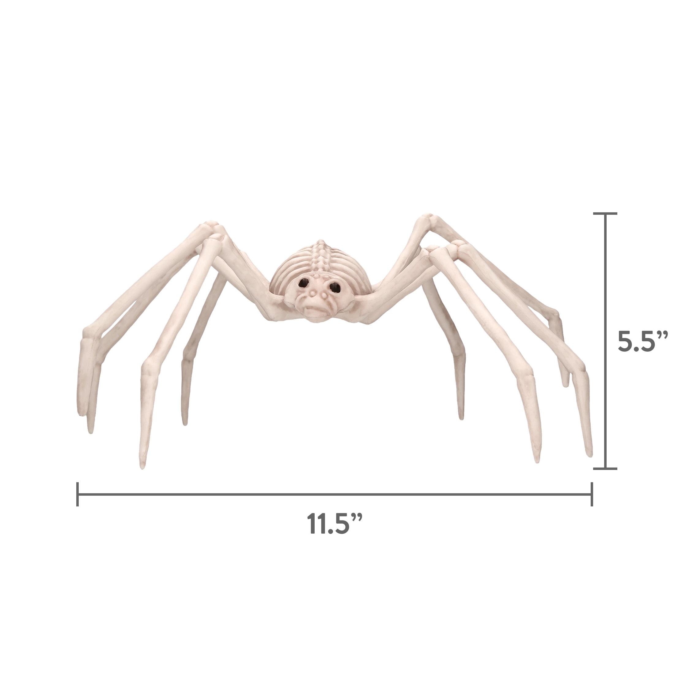 Faux Skeleton Spider Decoration, 5.3", Halloween by Way To Celebrate